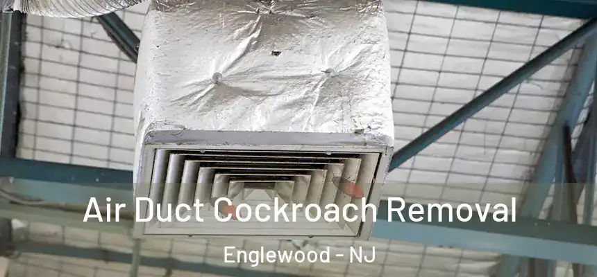  Air Duct Cockroach Removal Englewood - NJ