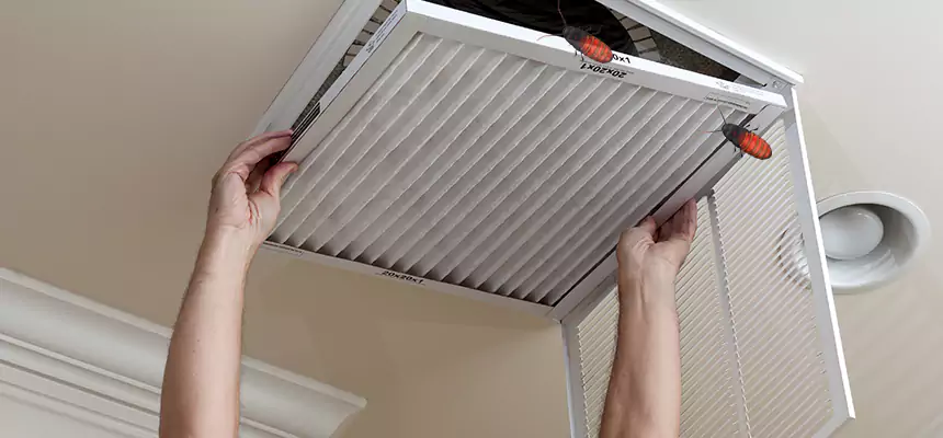 Preventive Cockroach-Proofing for Ducts in Englewood