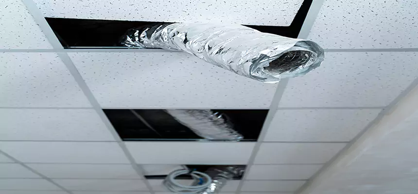 Our Air Duct Pet Hair Removal Services in Englewood, NJ