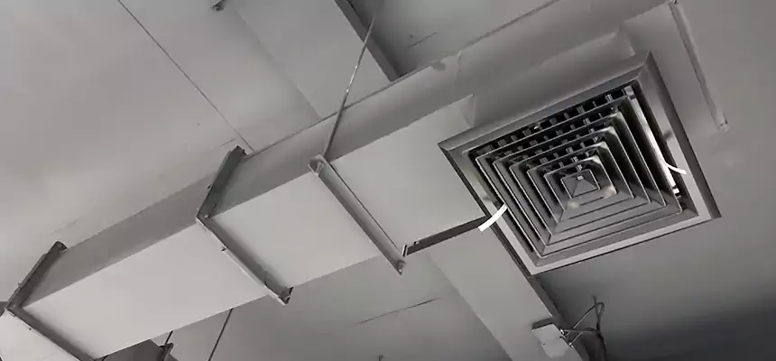 Our Rodent Droppings In Vents Services in Englewood, NJ