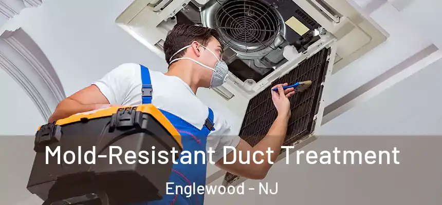  Mold-Resistant Duct Treatment Englewood - NJ