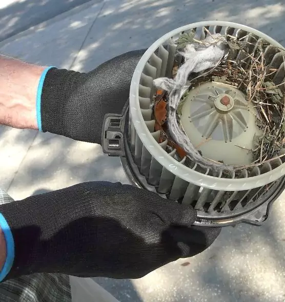 About Air Duct Mice Removal in Englewood, NJ