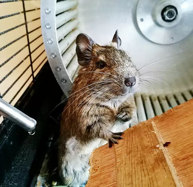 Why Homeowners & Businesses Trust Us Englewood, NJ?